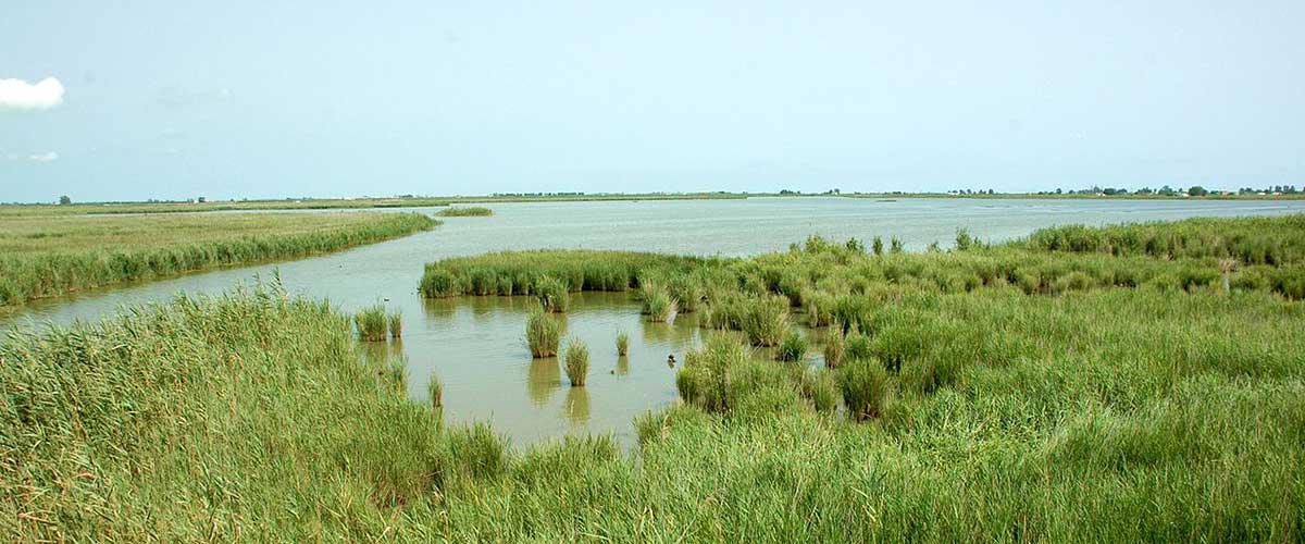 Marismas del Delta del Ebro