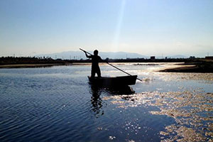 actividades en el Delta del Ebro