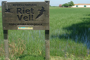 Actividades en el Delta del Ebro