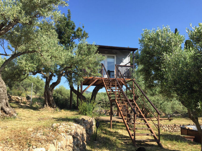 observatorio ornitologico Ecoturismo Villafeliche